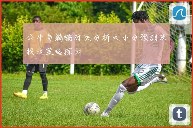 公牛与鹈鹕对决分析大小分预测及投注策略探讨
