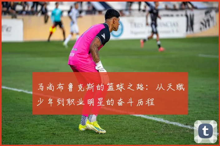 马尚布鲁克斯的篮球之路：从天赋少年到职业明星的奋斗历程