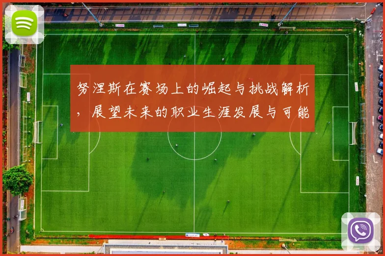 努涅斯在赛场上的崛起与挑战解析，展望未来的职业生涯发展与可能性